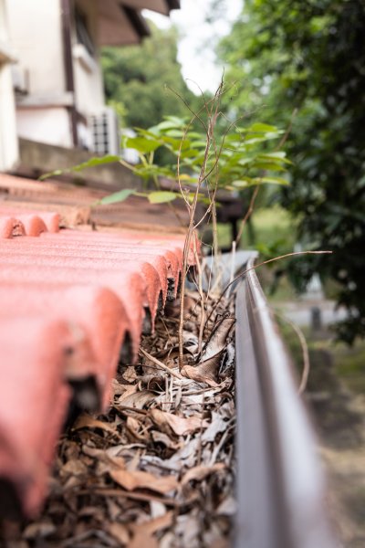 Tacoma Gutter Repair