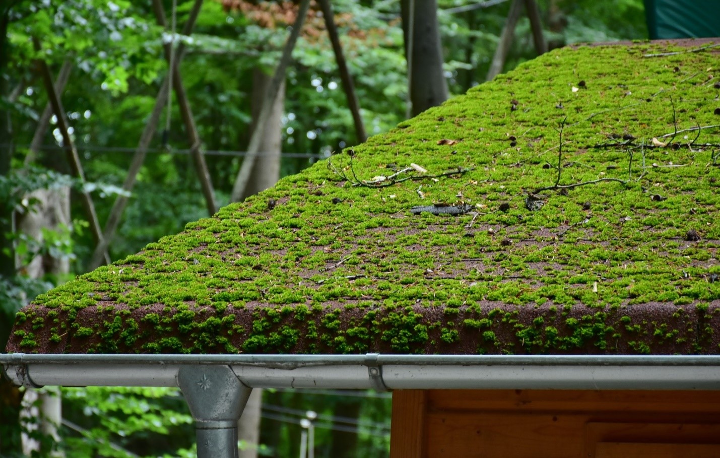 Installing residential and commercial roofs