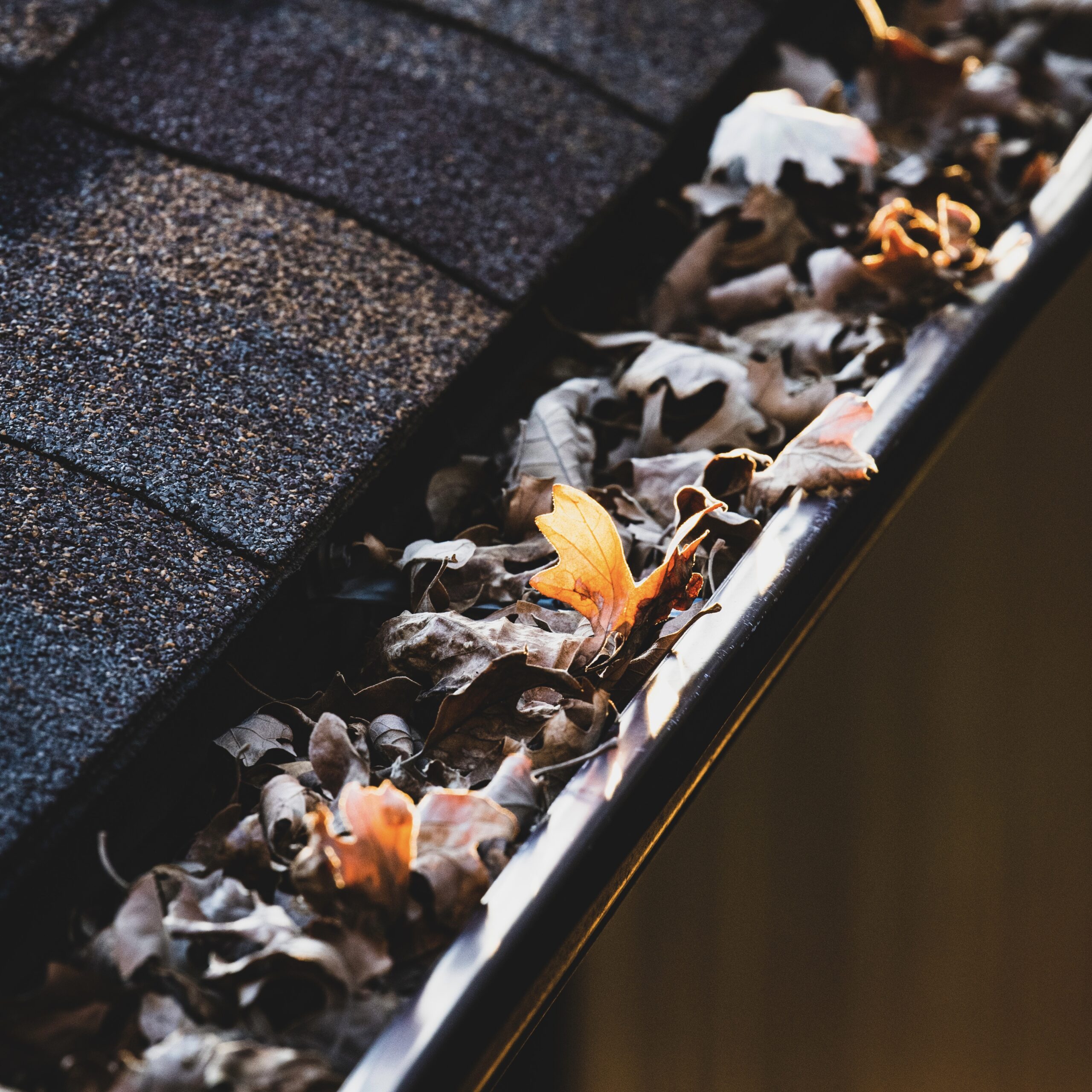 Gutter cleaning and maintenance for fall