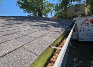 gutter cleaning services