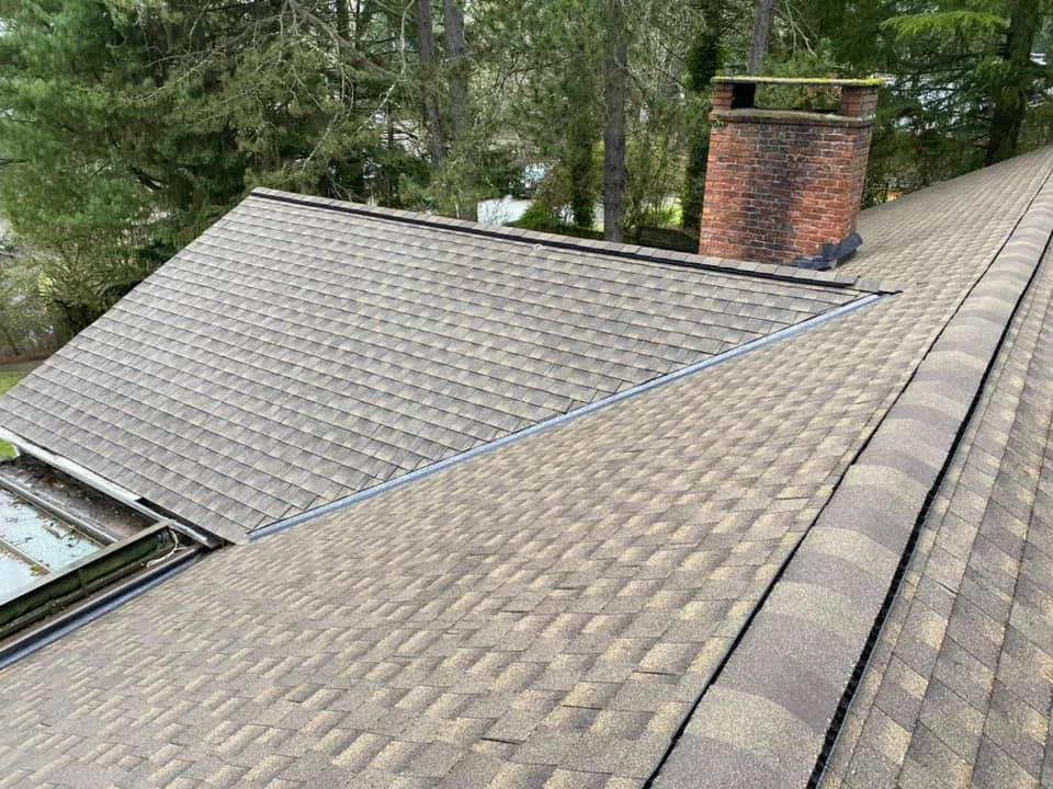 Roof with shingles and chimney