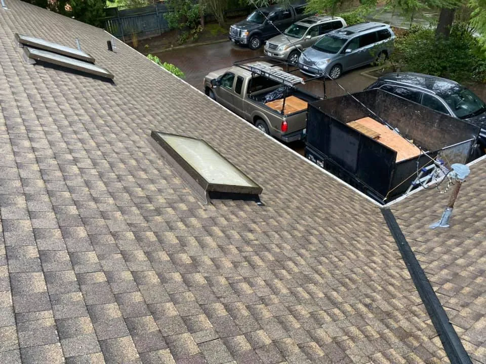 Roof with skylights and parked vehicles