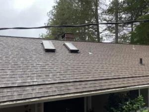 Roof with skylights and chimney