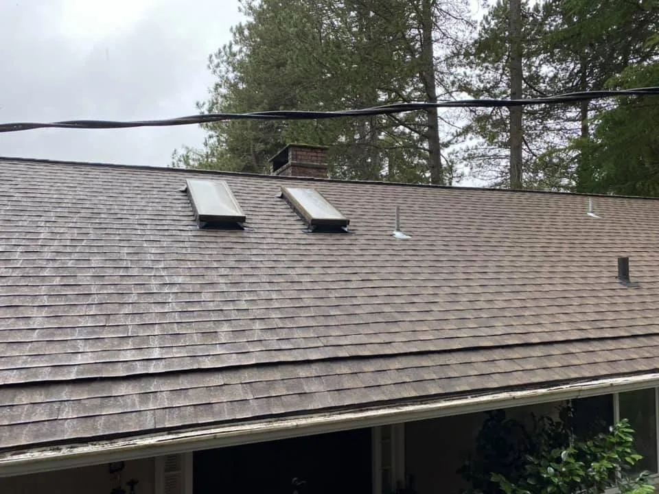 Roof with skylights and chimney