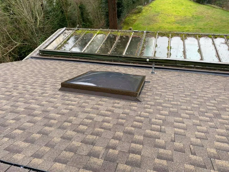 Roof with skylight and greenery background